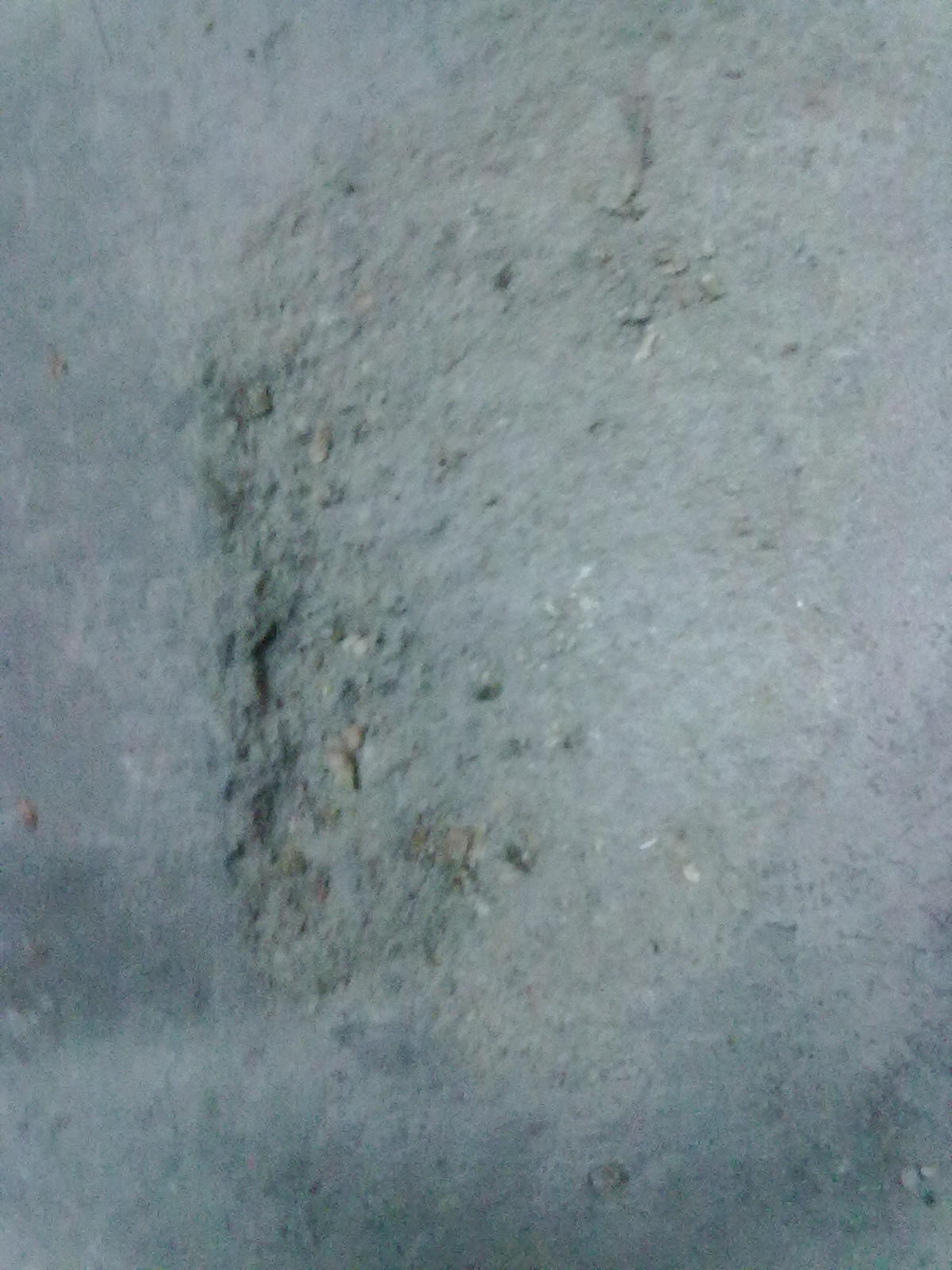20101120064.jpg