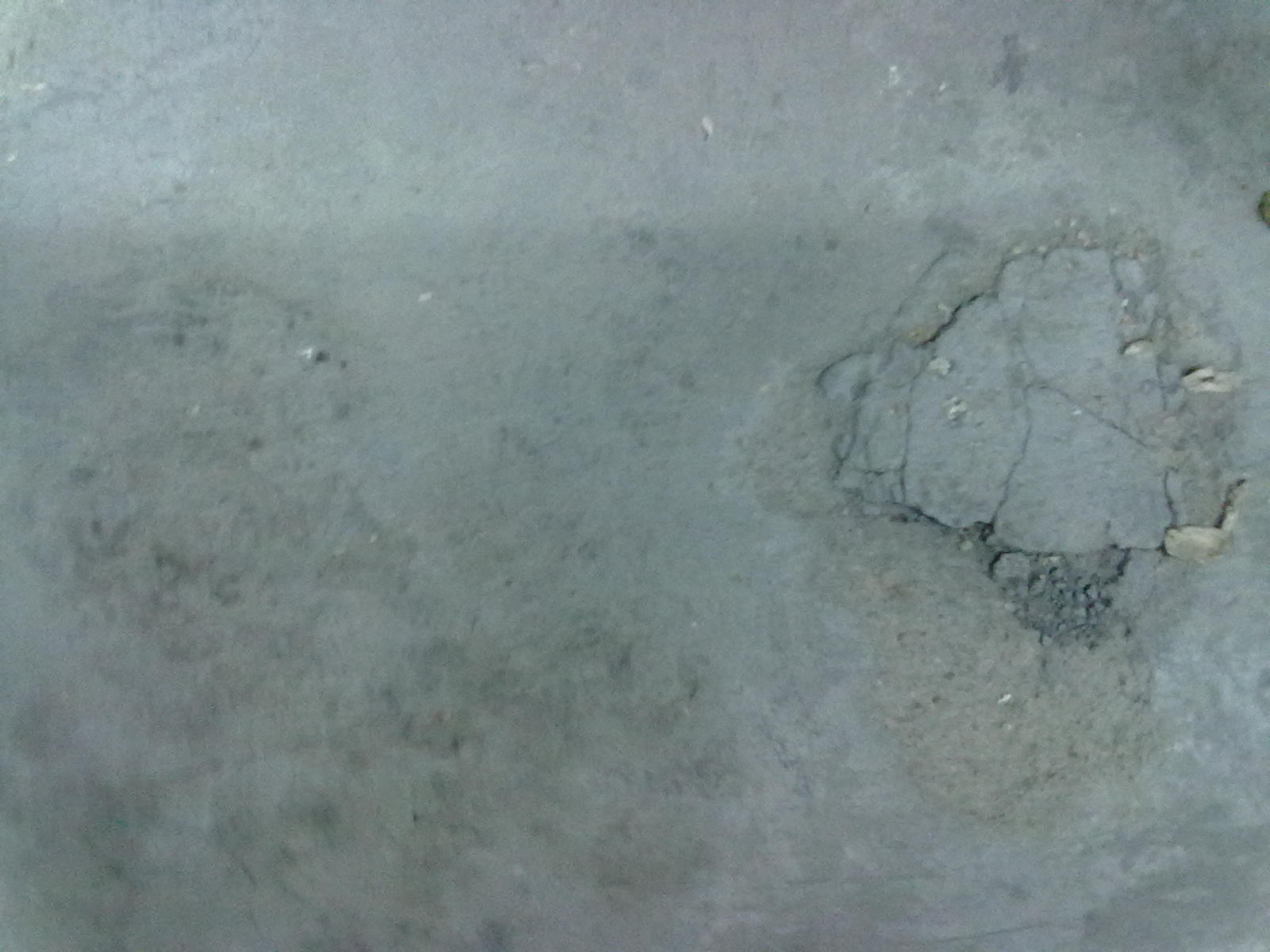 20101120072.jpg