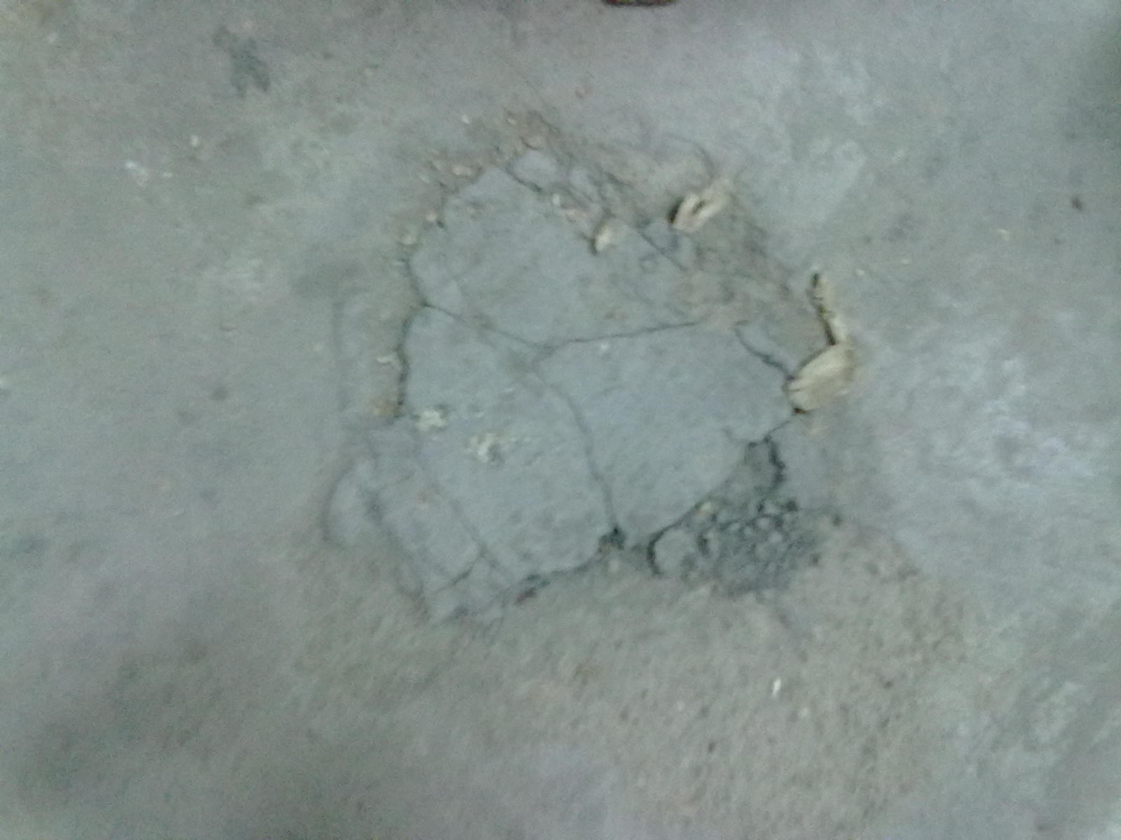 20101120077.jpg