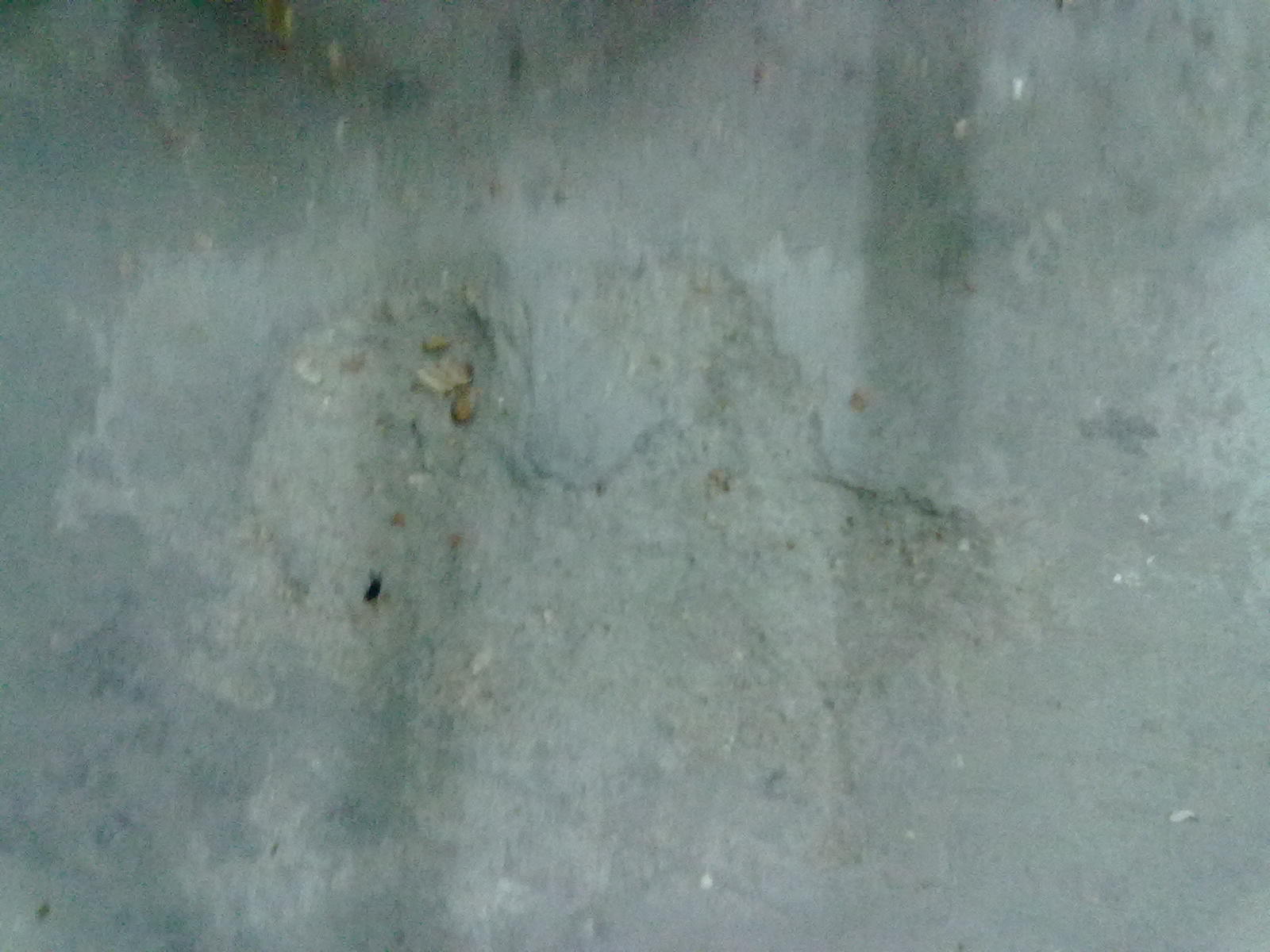 20101120076.jpg