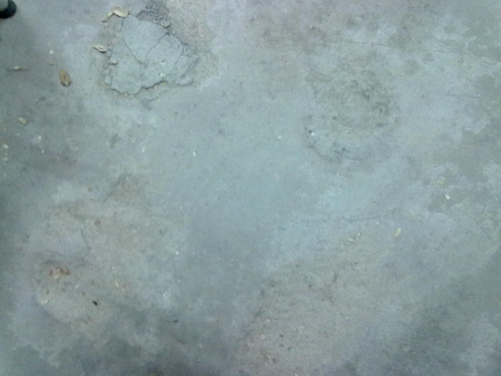 20101120074.jpg