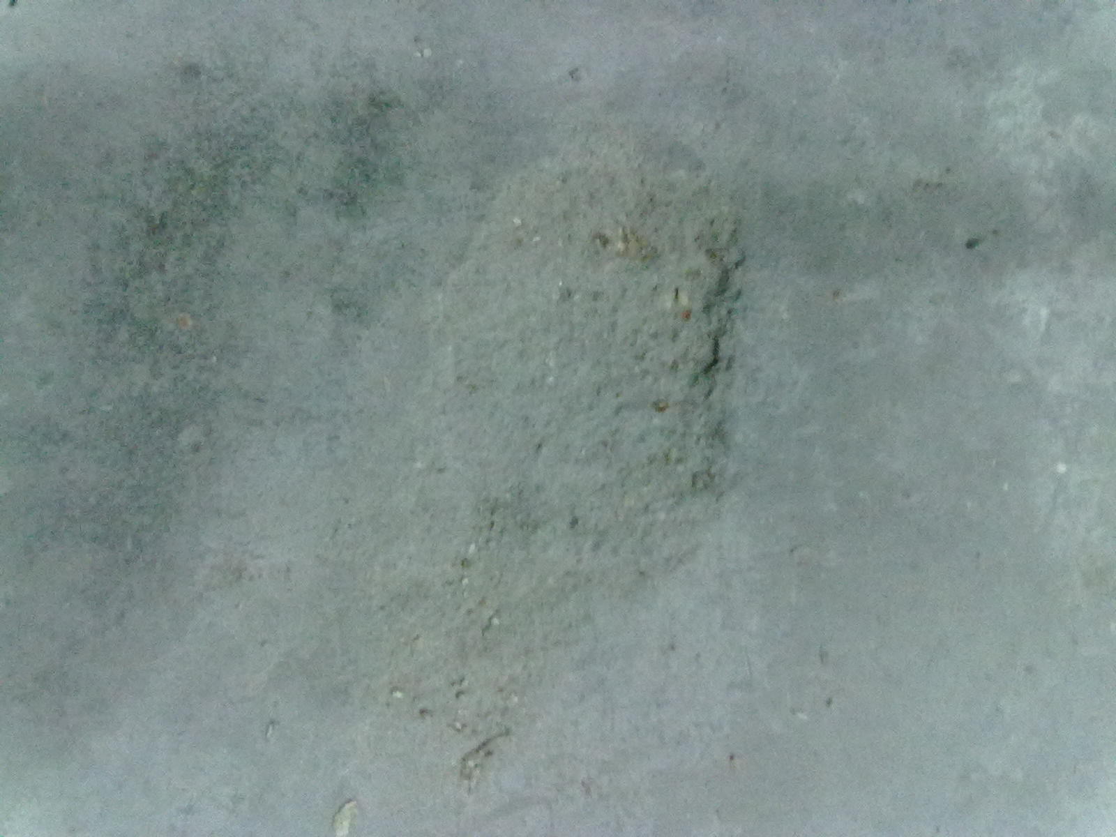 20101120075.jpg