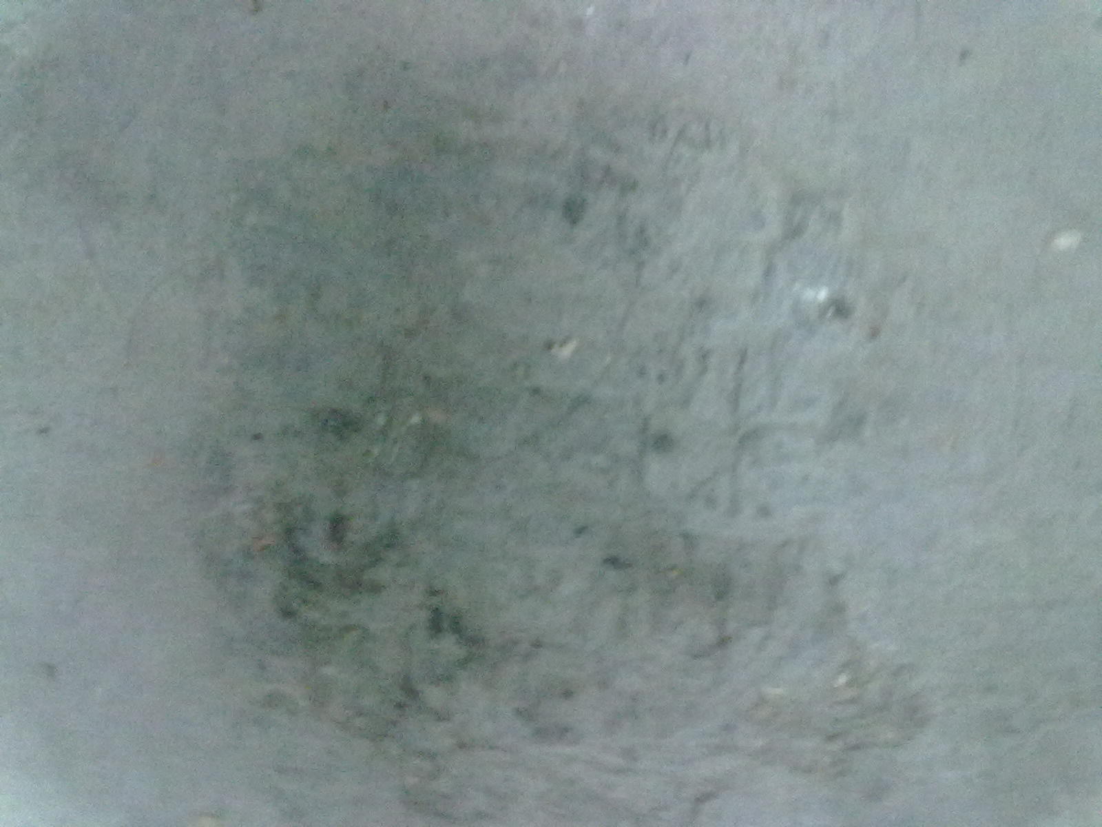 20101120078.jpg