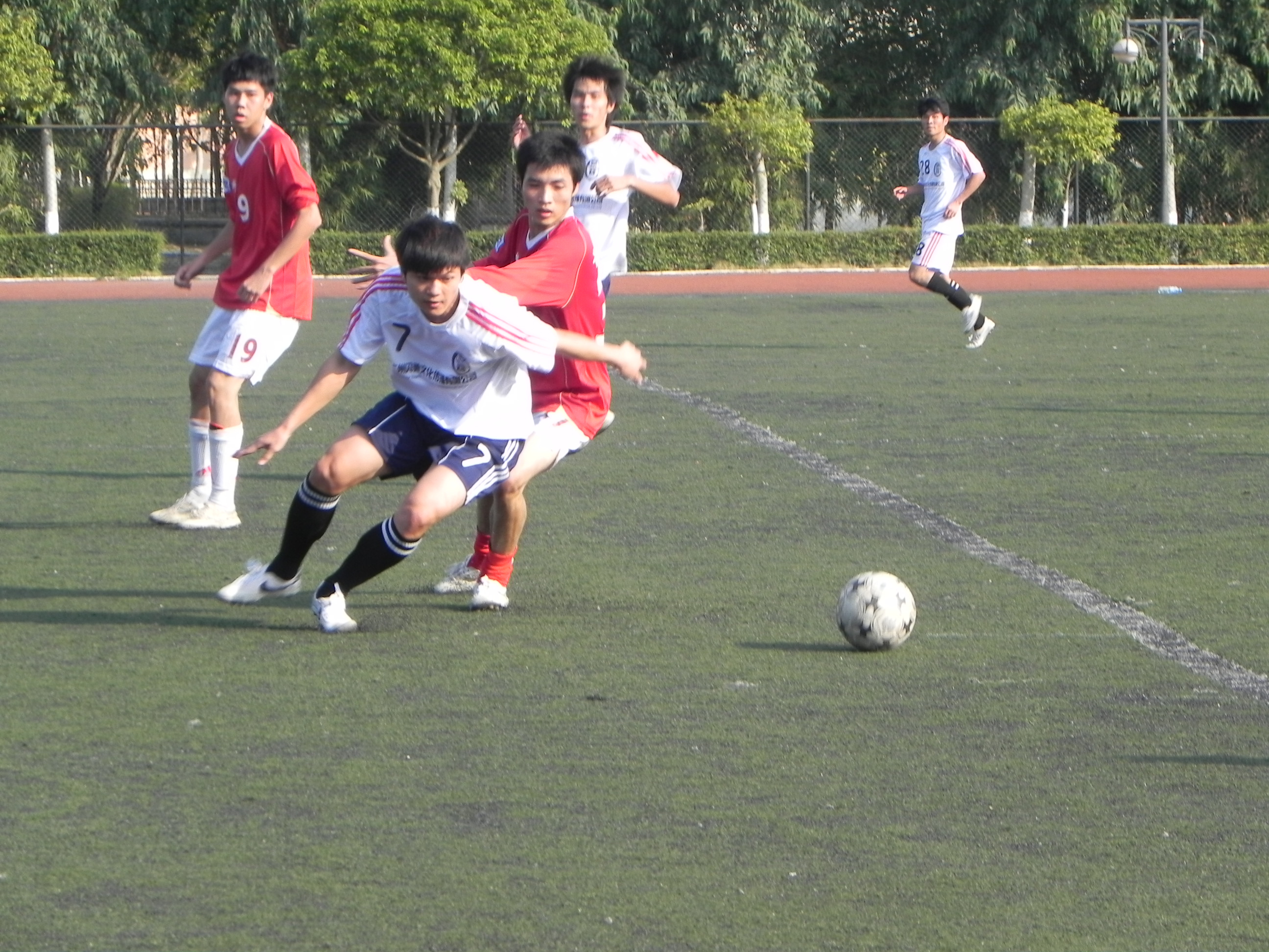 DSCN0735.JPG