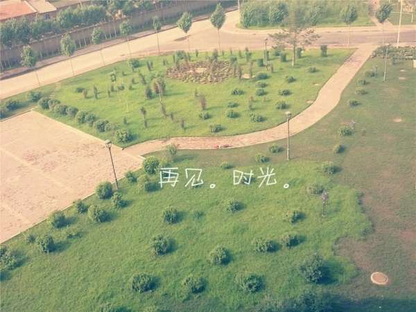 12779818284571.jpg