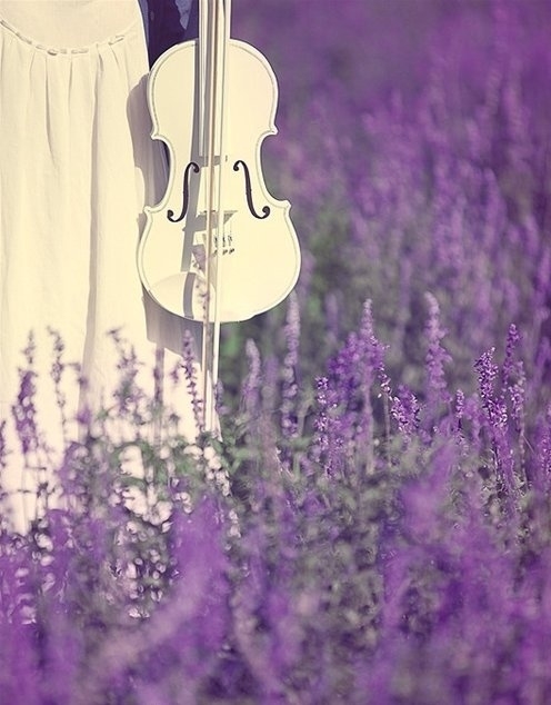 12757249721832.jpg