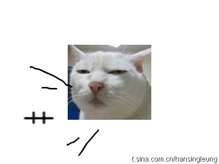 艹~.jpg