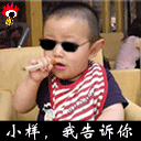 3801}20064260536.gif