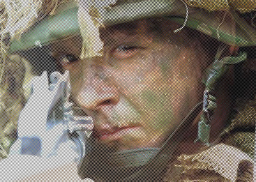 pic_1083822572.jpg