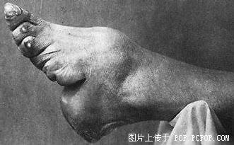 169894422.jpg