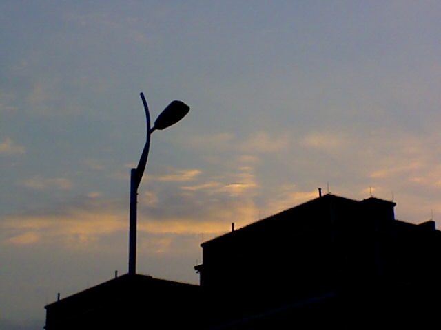 Picture0031.jpg