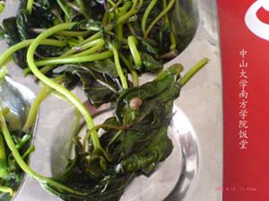 {6D1EC84B-DF55-47B1-A95A-8B73EA47204A}.JPG